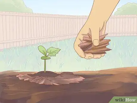 Image titled Grow Cucumbers Step 14