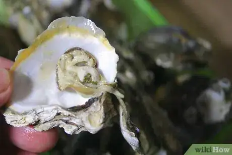 Image titled Cook Oysters Step 4