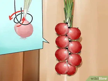 Image titled Grow Onions from Seed Step 18