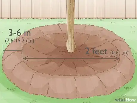 Image titled Grow Mandarin Trees Step 8