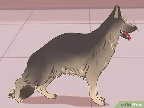 Image titled Tell if a Dog Is in Pain Step 3