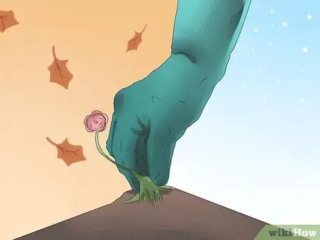 Image titled Grow Poppies Step 1