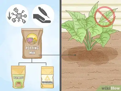 Image titled What Is a Good Soil Mix for Vegetable Gardens Step 11