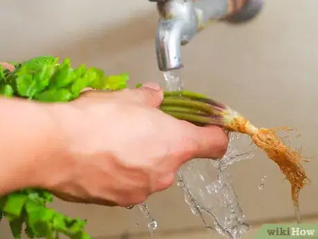 Image titled Freeze Herbs Step 3