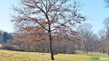 Image titled Build a Milk Carton Birdhouse Step 8