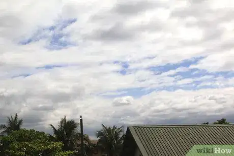 Image titled Make Cute Pictures of Your Hamster Step 3