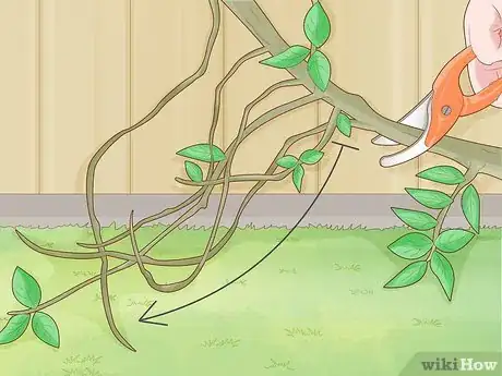 Image titled Prune Gate Vines Step 9