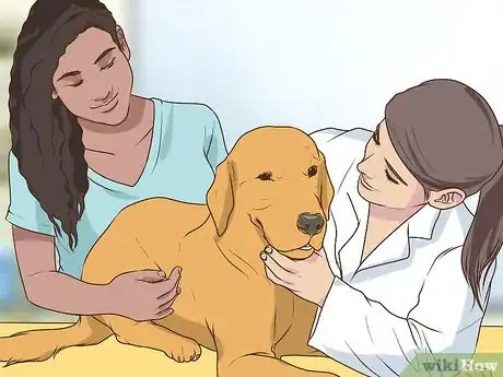 Image titled Get a Complete Geriatric Work Up for Your Dog Step 7