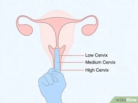 Image titled Buy a Menstrual Cup Step 2
