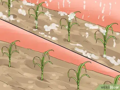 Image titled Grow Great Herbs Step 27