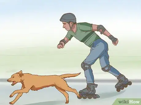 Image titled Have Fun While You're Walking Your Dog Step 8