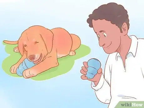 Image titled Keep Your Dog Entertained Step 10