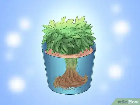 Image titled Plant Evergreen Shrubs Step 9