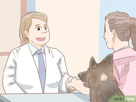 Image titled Treat Frostbite in Dogs Step 6