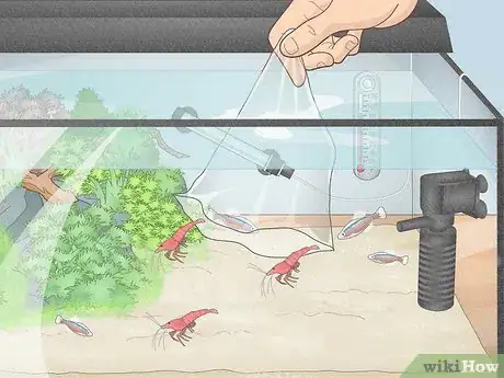 Image titled Prevent Algae Growth in a Freshwater Aquarium Step 6