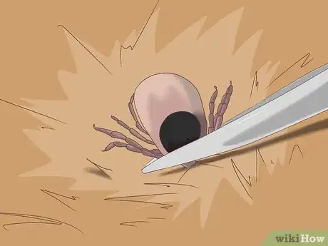 Image titled Remove Ticks from Furry Pets Step 5