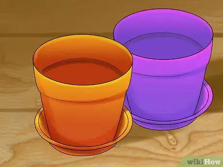 Image titled Give Cat Grass to a Cat Step 6