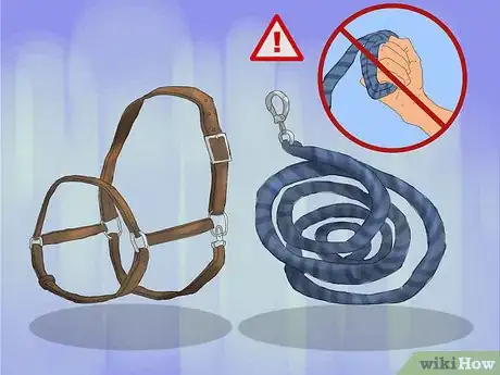 Image titled Hand Walk an Injured Horse Step 5