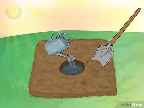 Image titled Grow Knockout Roses Step 2