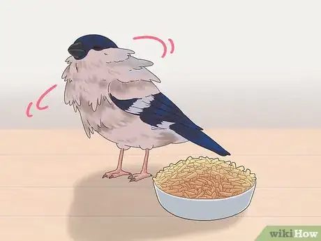 Image titled Treat Avian Pox in Finches Step 7