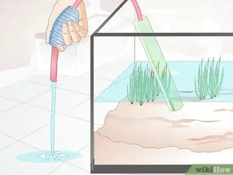 Image titled Do a Water Change in a Freshwater Aquarium Step 8