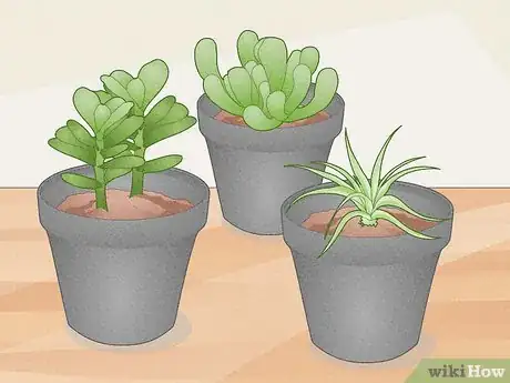 Image titled Make a Mini Garden in Your Room Step 3