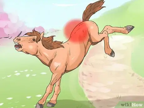 Image titled Massage a Horse Step 10