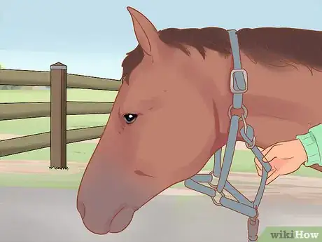 Image titled Tack Up Using English Tack Step 8