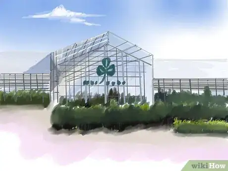 Image titled Grow Butterfly Weed Step 9