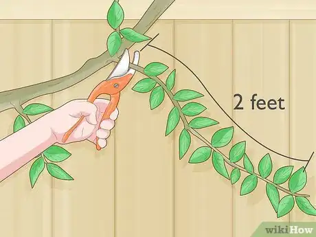 Image titled Prune Gate Vines Step 2