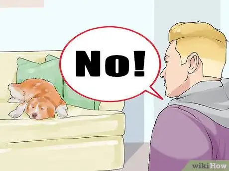 Image titled Set Consistent Limits for a New Dog Step 11