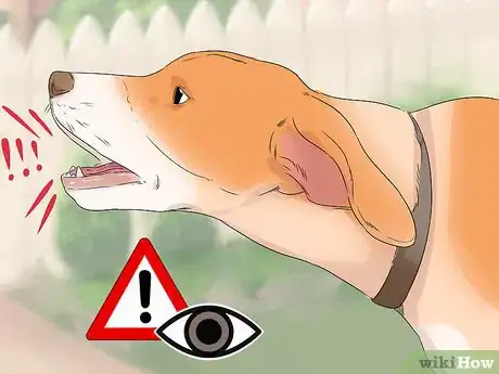 Image titled Identify and Correct Unwanted Dog Behaviors Step 8