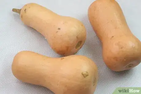 Image titled Make Sure You Are Giving Your Guinea Pigs the Right Food Step 3