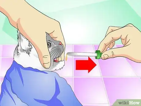 Image titled Give Cats Liquid Medicine Step 10
