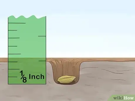 Image titled Grow Herbs Outdoors Step 9