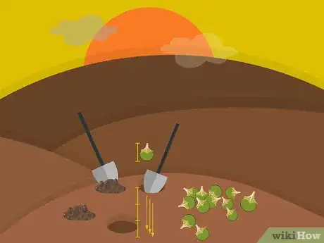 Image titled Plant Narcissus Bulbs Step 07