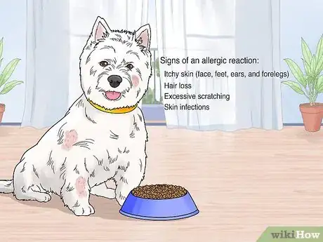 Image titled Choose a Dry Dog Food Step 3