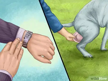 Image titled Prepare for Your Dog's Annual Vet Exam Step 10