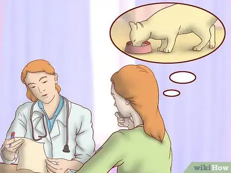 Image titled Get an Overweight Senior Cat to Lose Weight Step 1