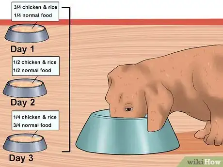 Image titled Solve Digestive Problems With Small Dogs Step 8