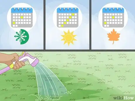 Image titled Maintain Bermuda Grass Step 6