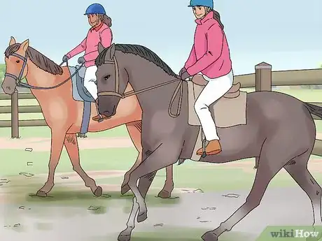 Image titled Succeed at Your First Horse Show Step 14