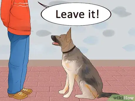 Image titled Dine Out with Your Dog Step 6