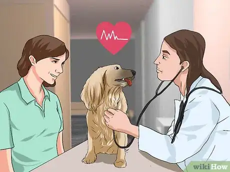 Image titled Treat Canine Cancer Step 1