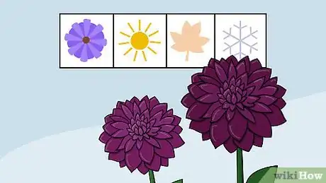 Image titled Plant Flower Bulbs Step 8