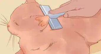 Be Nice to Your Pets