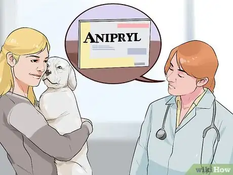 Image titled Diagnose Cognitive Dysfunction in Senior Dogs Step 12