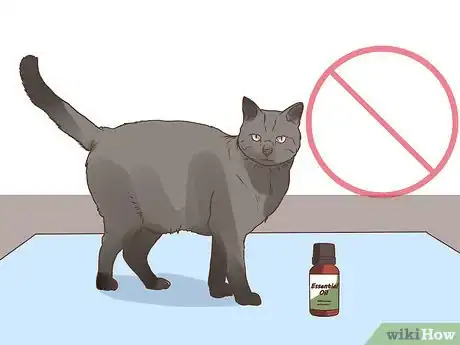 Image titled Keep Pets Safe Around Essential Oils Step 5