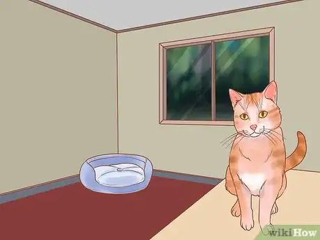 Image titled Keep Your Cat Safe on Independence Day Step 5