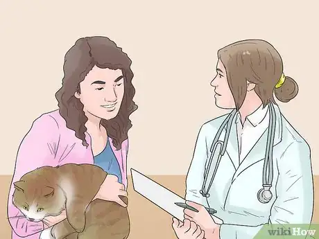 Image titled Take Care of an Aegean Cat Step 5